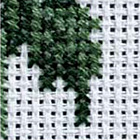11アイーダの画像