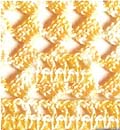 �F���{