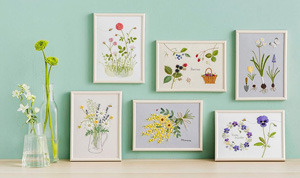 �W�����{